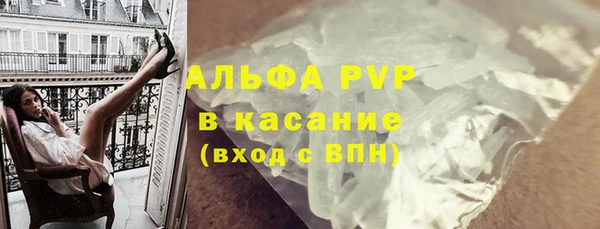 прущие грибы Алексин