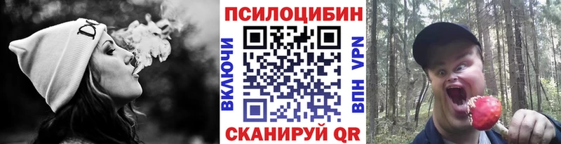 Купить Таруса Галлюциногенные грибы Psilocybine cubensis